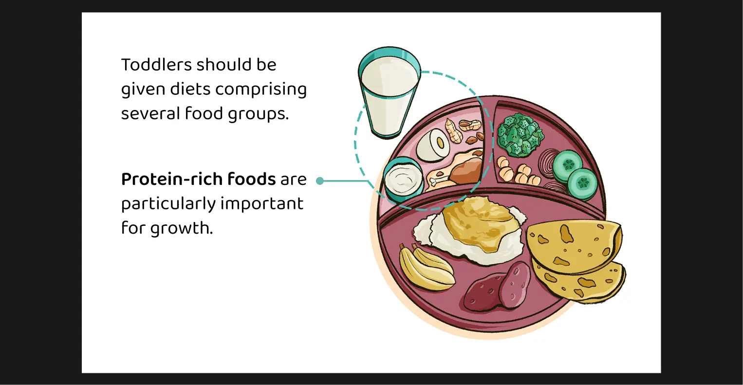 Visual Explainer: Protein rich foods are important for toddlers
